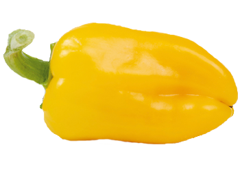 Paprika Snacky Yellow